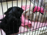 bed73f9f.jpg