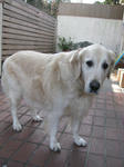 227f21d1.jpg