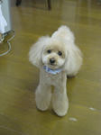 a630f873.jpg