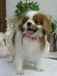 d72588f1.jpg