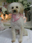 03831aed.jpg