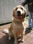 a3b97231.jpg