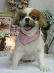 8b87562f.jpg