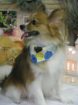 c1a50752.jpg