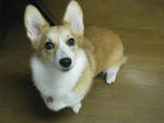 f03652d7.jpg