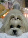 475708f7.jpg