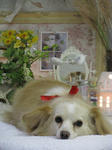 46e535f1.jpg