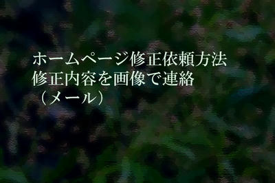 ホームページ修正依頼方法 修正内容を画像で連絡（メール）