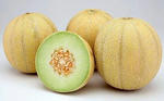 Lemon-Melons.jpg