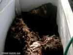CNN200808150018.jpg