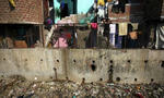 plastic-bags-001.jpg