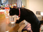 水飲み３