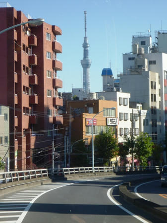 P1100022.JPG
