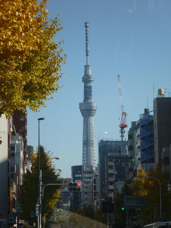 P1100023.JPG