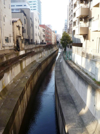 P1100935.JPG