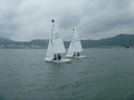 P1000135.JPG
