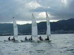 P1000274.JPG