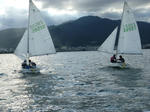 P1000275.JPG