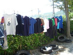 P1000284.JPG