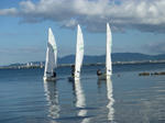 P1000768.JPG