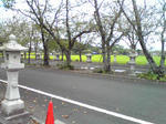 Image300.jpg