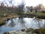 110124_123348.jpg