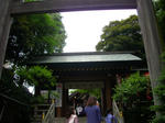 6204.jpg