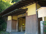 68.jpg