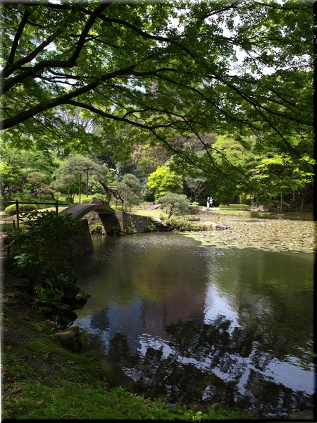 小石川後楽園・内庭<br><br>庭園の東南に位置する、水戸藩書院があった回遊式の庭園。<br>「うちの御庭」とも呼ばれた当時のそのままの姿をとどめている。