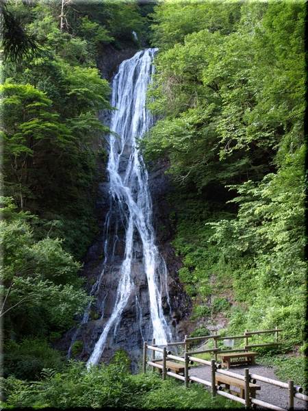 丸神の滝(まるがみのたき)<br><br>県内で唯一、日本の滝百選に選ばれている三段瀑(12m・14m・50m:計76m)。<br>水量は1年を通してそれほど多くないため、厳冬期は凍結した滝を見ることができる。