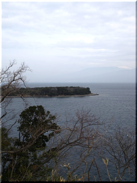 大瀬崎(おおせざき)