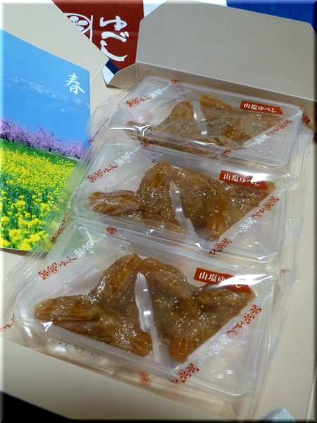 山塩ゆべし（６個入）