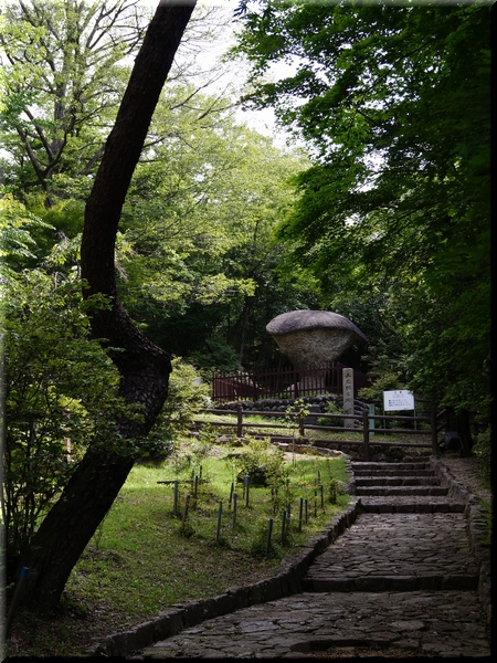 折れそうで折れない傘岩