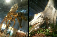 スピノサウルス