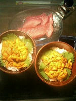 ウニ丼!