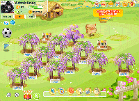 サンシャイン牧場