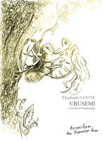 ウルセミ(昆虫)