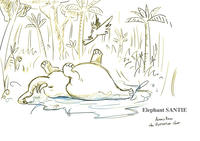 サンティエ＿水たまり