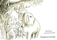 サンティエとはぐれワタリザル