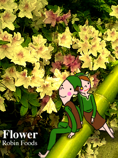 ロビンフッドたち