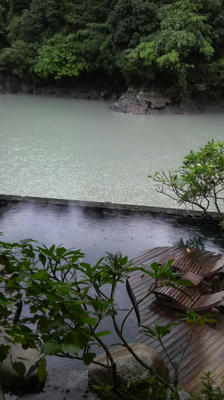 P1150057.jpg