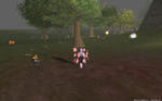 20100309153352.jpg