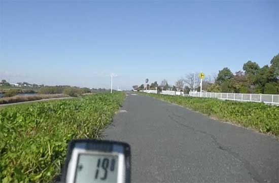 江戸川サイクリングロード