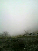 2010031516350000.jpg