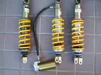 P1010032b.JPG