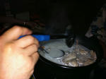 IMG_0226.JPG
