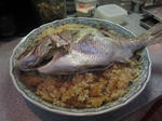 IMG_1525.JPG