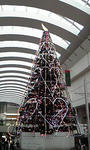 tree.jpg