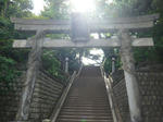 P1020523.jpg