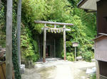 P1020672-ok.jpg